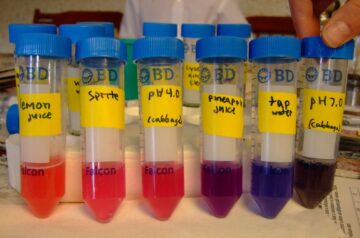 One of my daughter's science fair projects in grade school