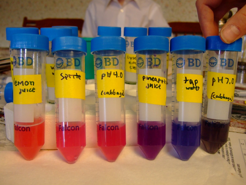 One of my daughter's science fair projects in grade school